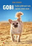 Gobi