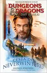Dungeons&Dragons Čest zlodějů