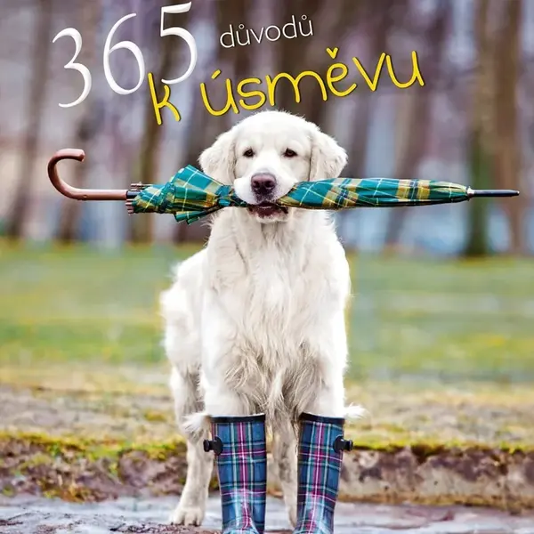 365 důvodů k úsměvu