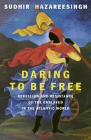 Daring to be Free - Sudhir Hazareesingh