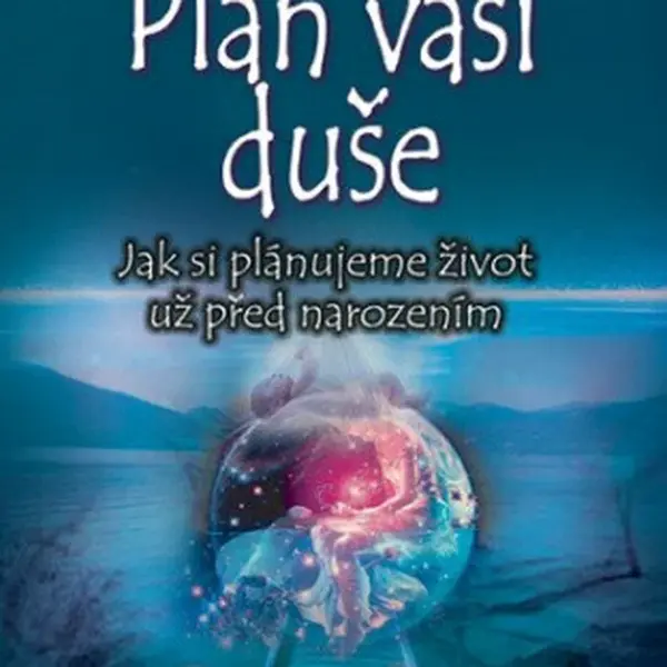 Plán Vaší duše - Robert Schwartz