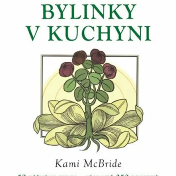 Léčivé bylinky v kuchyni - Kami McBride