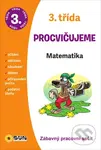 Procvičujeme - 3. třída Matematika (Zábavný pracovní sešit)
