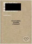 Co je českého na umění v Čechách? (Vybrané texty z let 2004–2021) - kniha z kategorie Dějiny umění