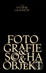 Fotografie, socha, objekt - Tomáš Dvořák - kniha z kategorie Dějiny umění
