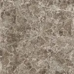 Dlažba Porcelaingres Estro brown 60x60 cm mat X600474X8