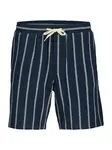 Jack & Jones Plus Nohavice 'JPSTAiden'  tmavomodrá / biela