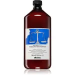 Davines Naturaltech Rebalancing Shampoo hloubkově čisticí šampon pro mastnou pokožku hlavy 1000 ml
