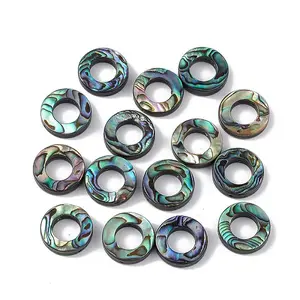 Natural Abalone Shell/Paua Shell Beads