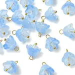 20Pcs Glass & Acrylic Flower Pendants