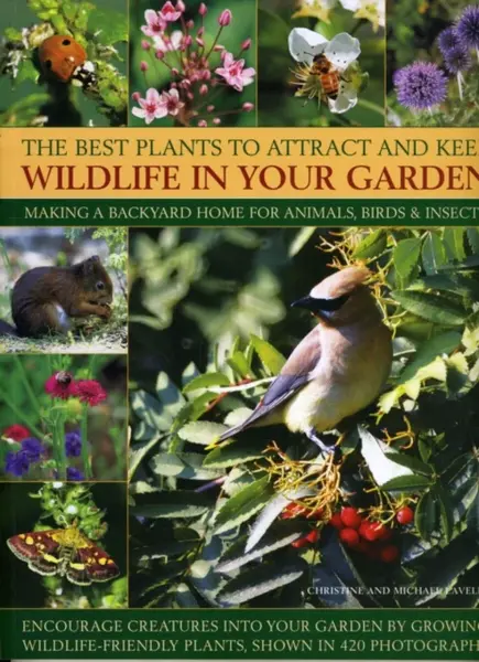 Best Plants to Attract and Keep Wildlife in the Garden - Christine Lavelle