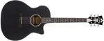 D'Angelico Premier Gramercy LS Black Top