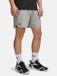 Pánské šortky Under Armour UA Vanish Woven