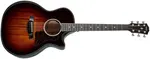 Taylor Builder's Edition 524ce Next Generation