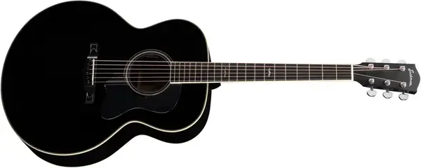 Eastman AC330E-BK