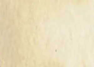 Akvarelová barva DS 5ml – 009 Buff Titanium