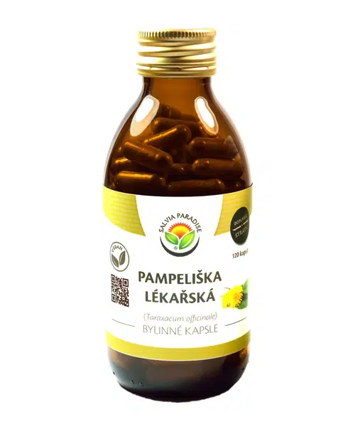 SALVIA PARADISE Pampeliška lékařská 120 kapslí