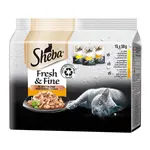 Sheba Mini Fresh & Fine krmivo pro kočky v kapsičkách - drůbež 15 x 50 g