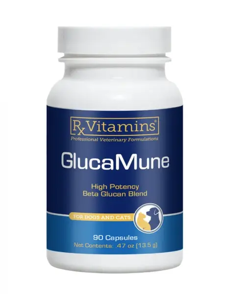 RX Vitamins Glucamune - na podporu imunitného systému 90 kapsúl