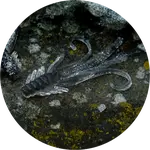 Redbass gumová nástraha nymfa natur g - l 80 mm