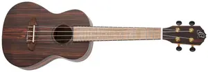 Ortega RUEB-CC