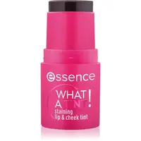 essence WHAT A TINT! multifunkční líčidlo na rty a tváře odstín 10 Raspberry Vibes 5 g