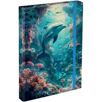 BAAGL DELFÍN Desky na školní sešity A4, mix, velikost