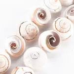 Natural Spiral Shell Bead Strands