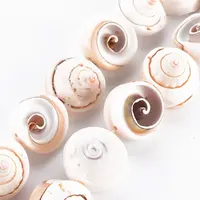 Natural Spiral Shell Bead Strands