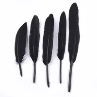 Goose Feather Costume Accessories