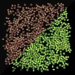 11/0 Luminous Glass Seed Beads