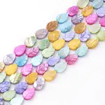 Natural Freshwater Shell Beads