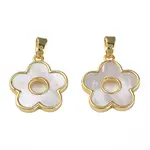 Natural Shell Pendants