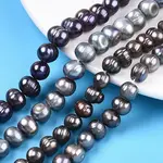 Natural Cultured Freshwater Pearl Beads Strands
