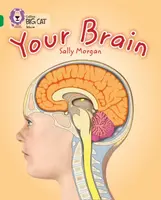Your Brain - Sally Morganová