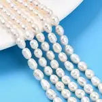 Natural Cultured Freshwater Pearl Beads Strands