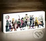 Demon Slayer Svetlo 30 cm