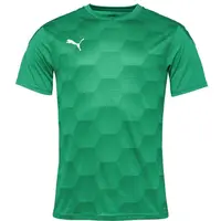 Puma TEAMFINAL 21 GRAPHIC JERSEY TEE Pánské sportovní triko, zelená, velikost