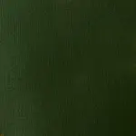 Akrylová barva Basics 22ml – 224 hookers green hue permanent