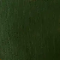 Akrylová barva Basics 22ml – 224 hookers green hue permanent