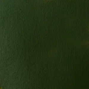 Akrylová barva Basics 22ml – 224 hookers green hue permanent