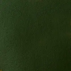 Akrylová barva Basics 22ml – 224 hookers green hue permanent