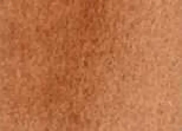 Akvarelová barva DS 15ml – 230 Burnt Sienna Light