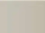 Pastel Caran d'Ache Neocolor II 403 Beige