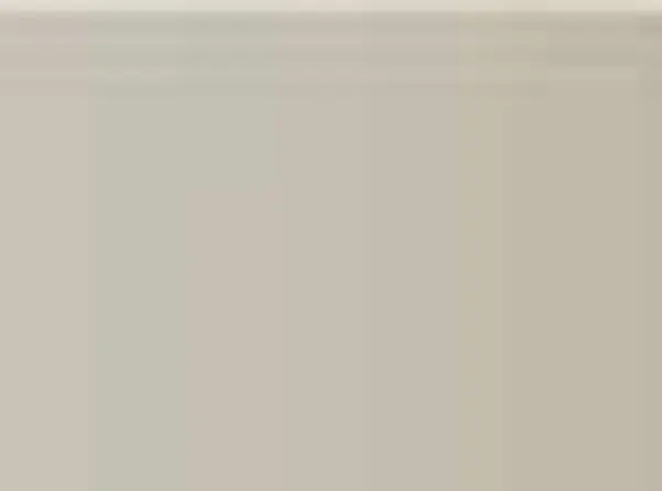 Pastel Caran d'Ache Neocolor II 403 Beige