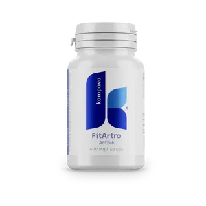 KOMPAVA Fit Artro Aktiv 600 mg/60 kps