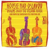 Stano Palúch, Kacper Malisz, Ryan Young – Housle nad Oslavou CD