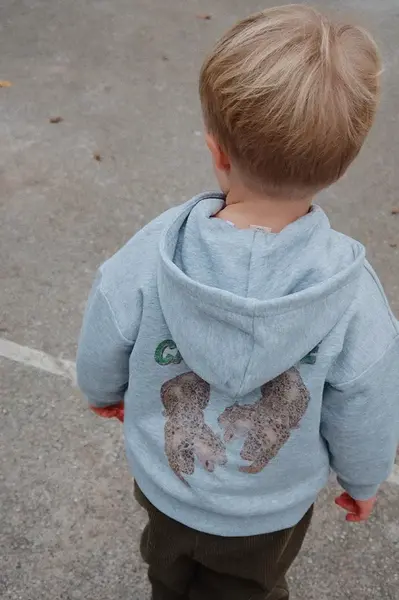 Dětská mikina s bavlnou Konges Sløjd LOU SWEAT ZIP HOOD OCS