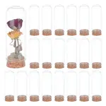 20Pcs Empty Glass Test Tubes