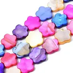 Natural Freshwater Shell Beads Strands